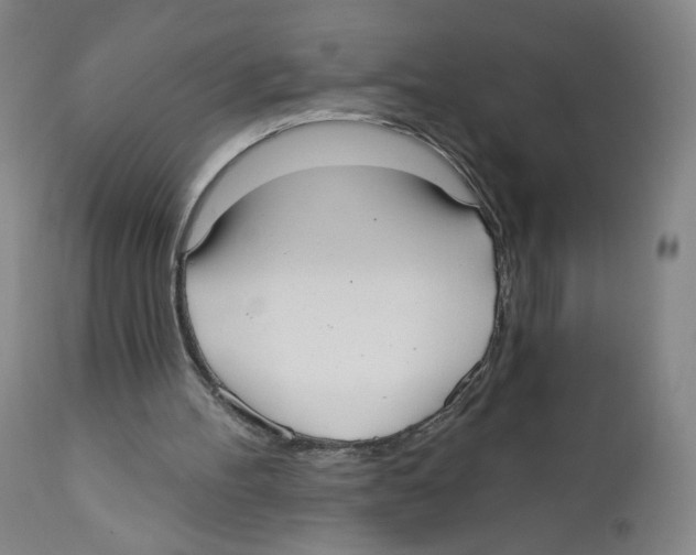 X0000110760100200907131219