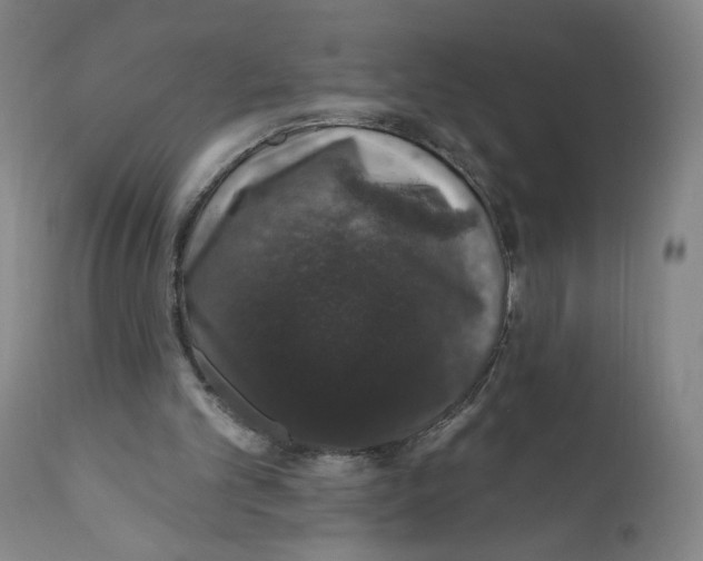 X0000110760101200907131219