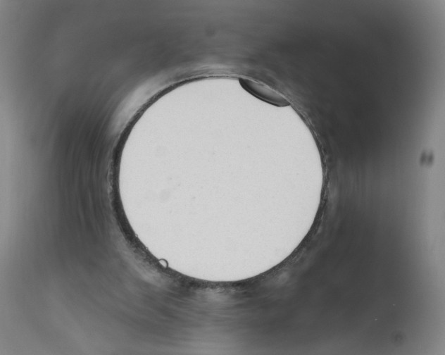 X0000110760103200907131219