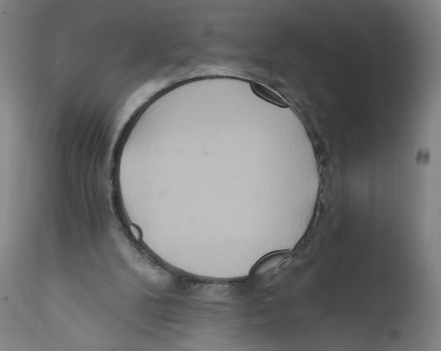 X0000110760104200907131219