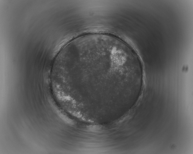 X0000110760105200907131219