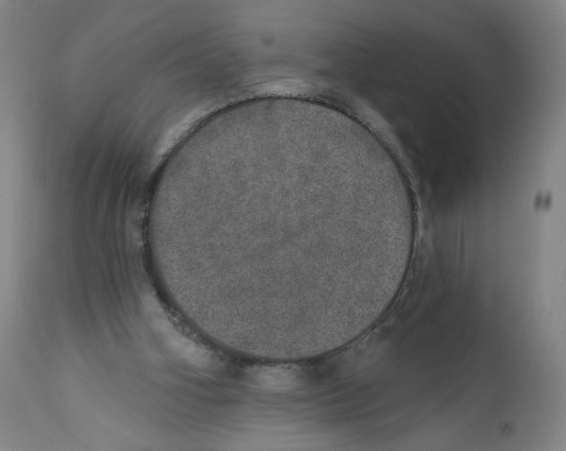 X0000110760106200907131219