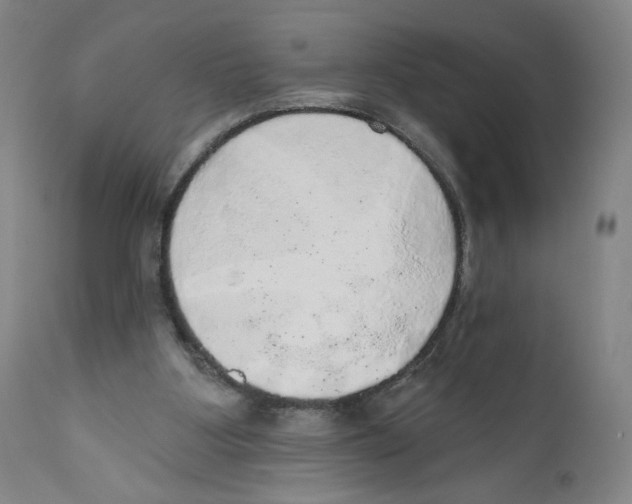 X0000110760107200907131219