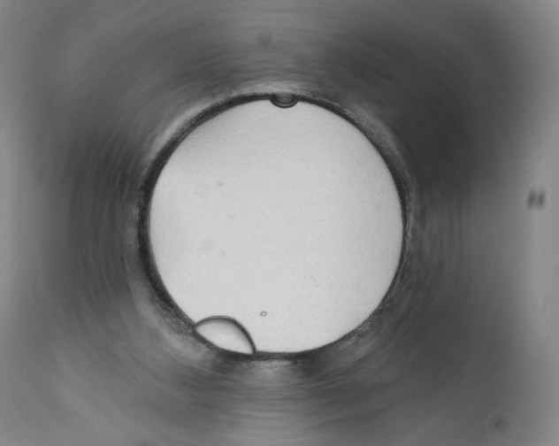 X0000110760108200907131219