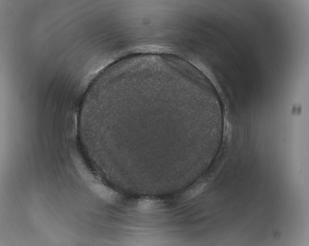 X0000110760109200907131219