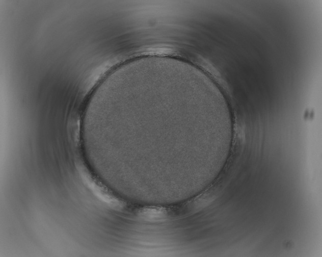 X0000110760110200907131219