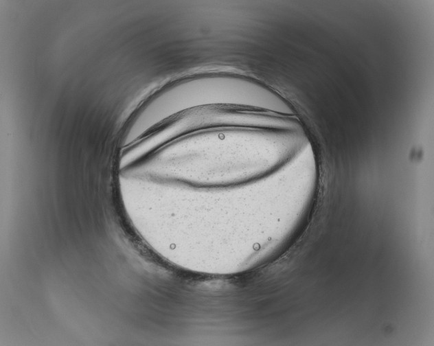 X0000110760112200907131219