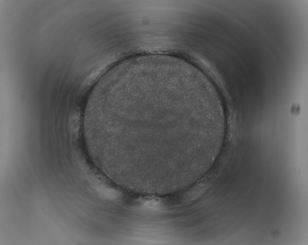 X0000110760113200907131219