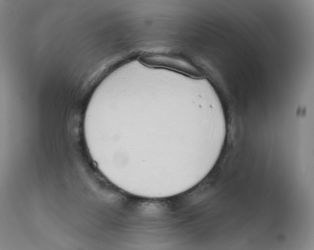 X0000110760115200907131219