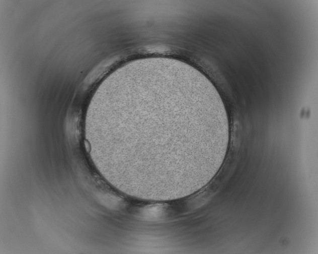 X0000110760116200907131219