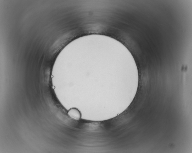 X0000110760118200907131219