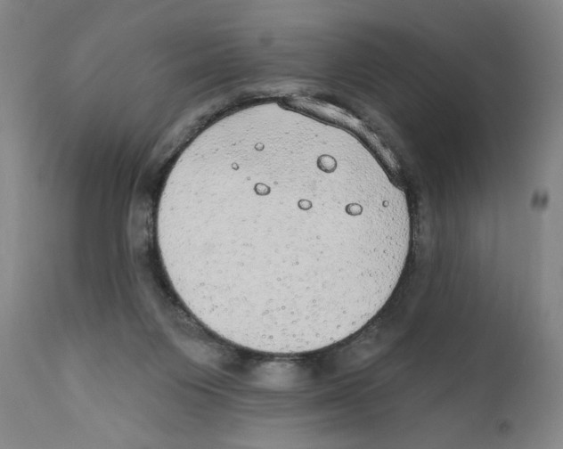 X0000110760119200907131219