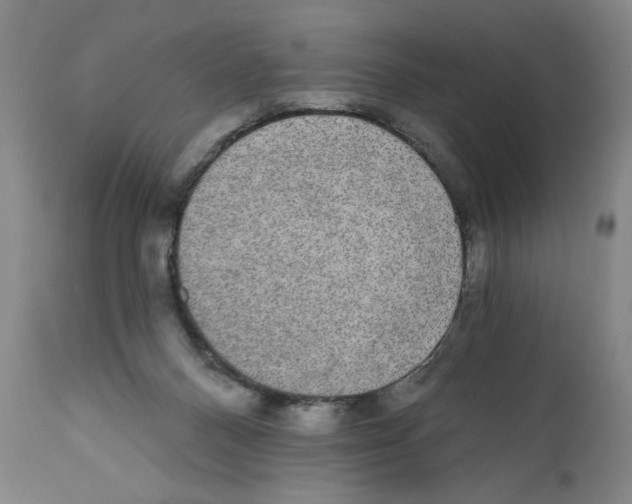 X0000110760120200907131219
