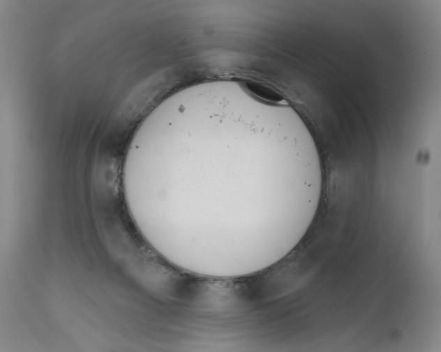 X0000110760121200907131219