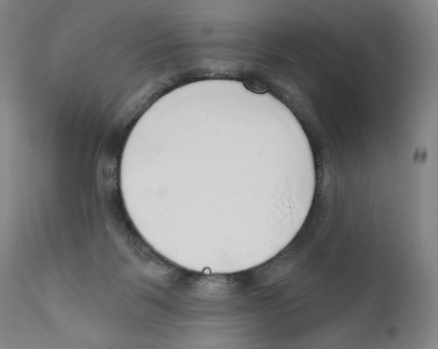X0000110760123200907131219