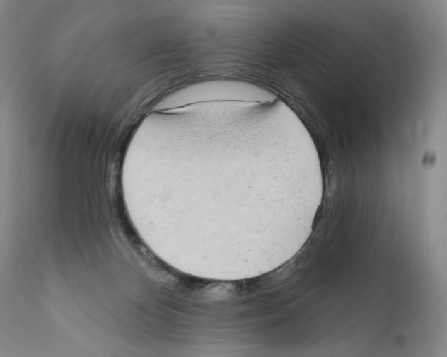 X0000110760124200907131219