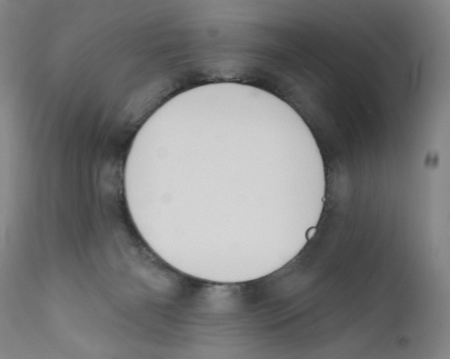 X0000110760126200907131219