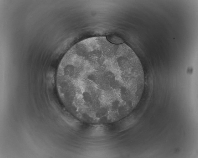 X0000110760127200907131219