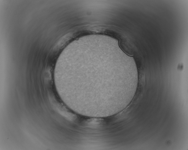 X0000110760128200907131219