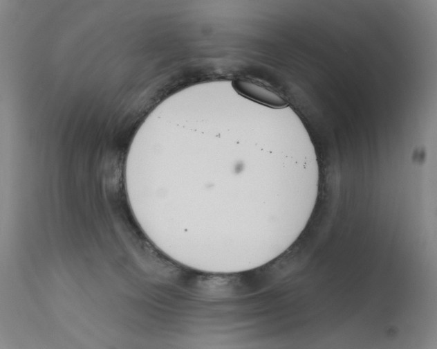 X0000110760129200907131219