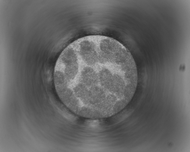 X0000110760131200907131219