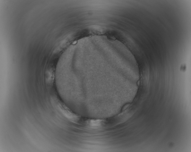 X0000110760134200907131219