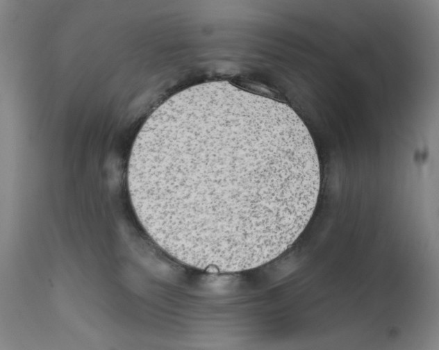 X0000110760135200907131219