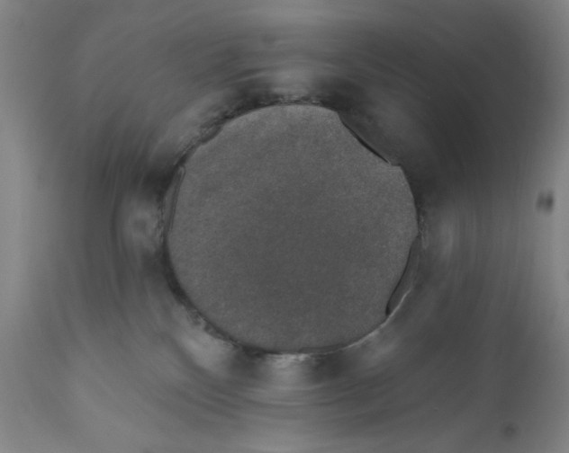 X0000110760136200907131219