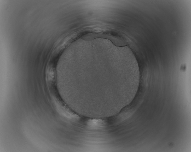 X0000110760137200907131219