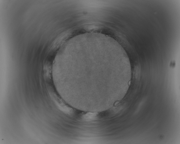 X0000110760138200907131219