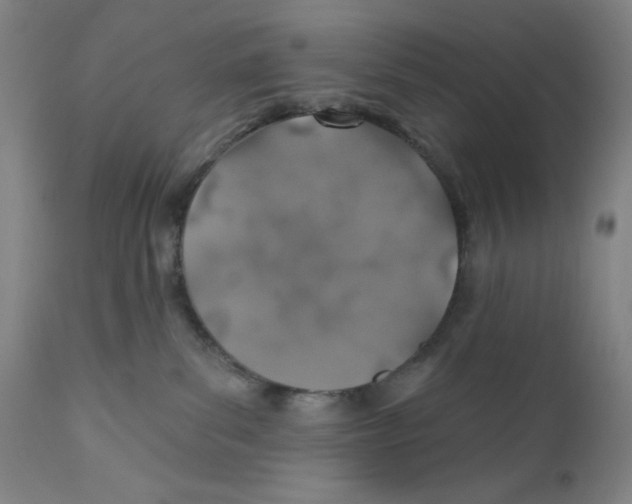 X0000110760139200907131219