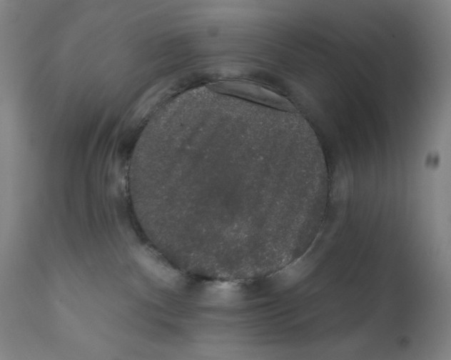 X0000110760140200907131219