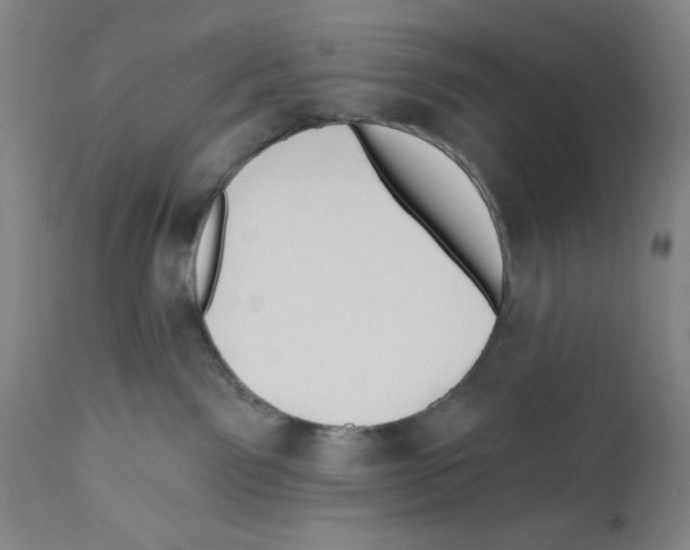 X0000110760141200907131219