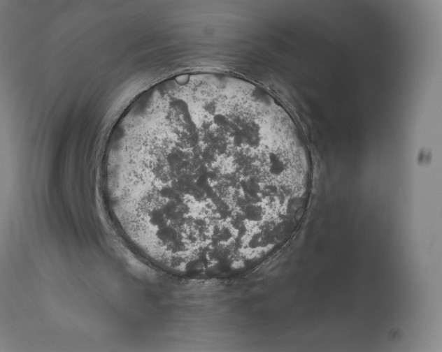 X0000110760145200907131218