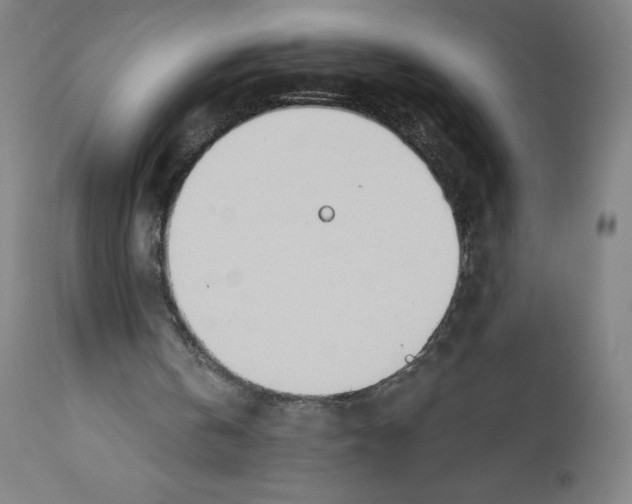 X0000110760146200907131218