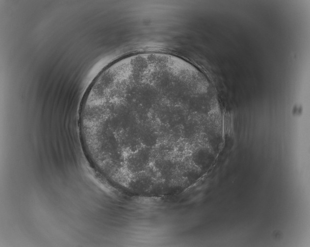 X0000110760147200907131218