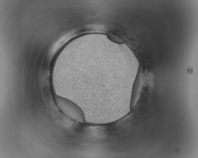 X0000110760150200907131218