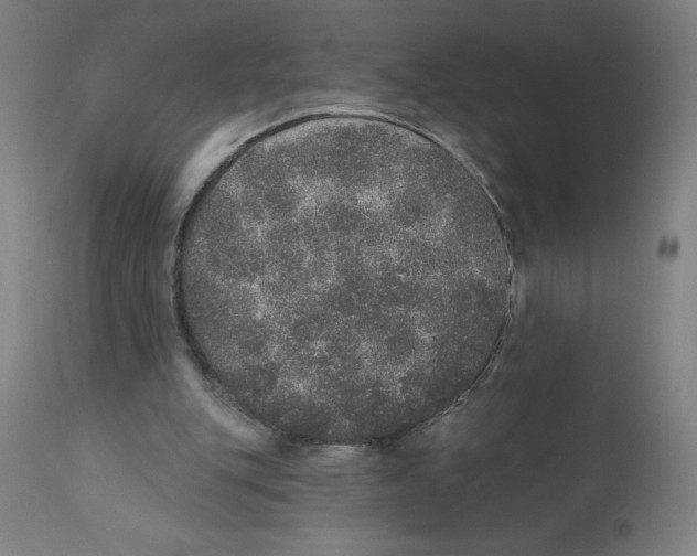 X0000110760151200907131218