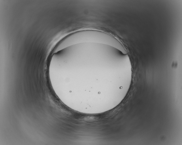 X0000110760152200907131218