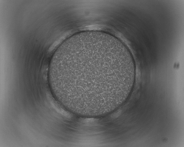 X0000110760153200907131218