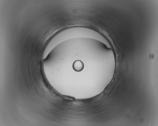 X0000110760154200907131218