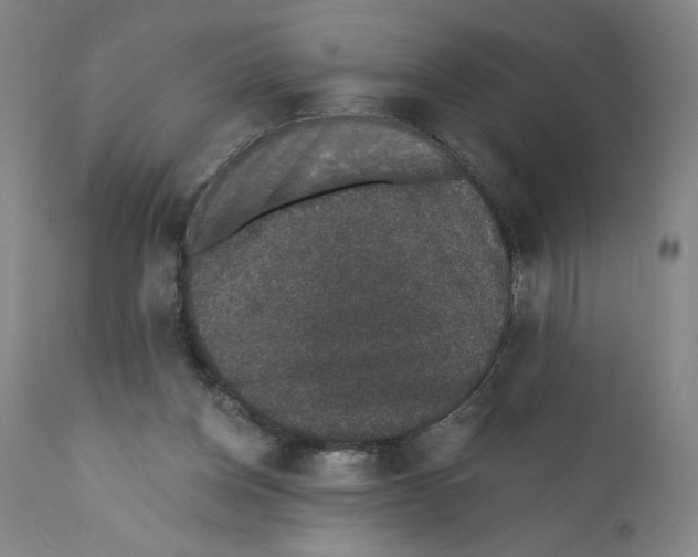 X0000110760158200907131218