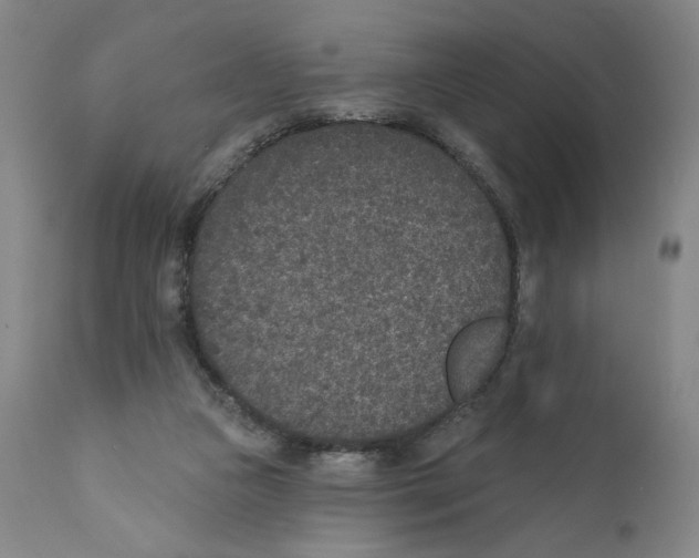 X0000110760161200907131218
