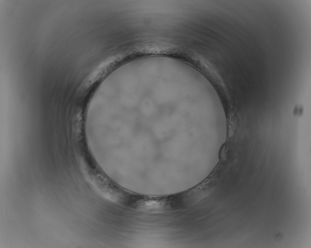 X0000110760163200907131218