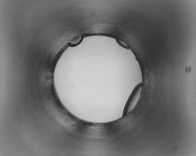 X0000110760164200907131218