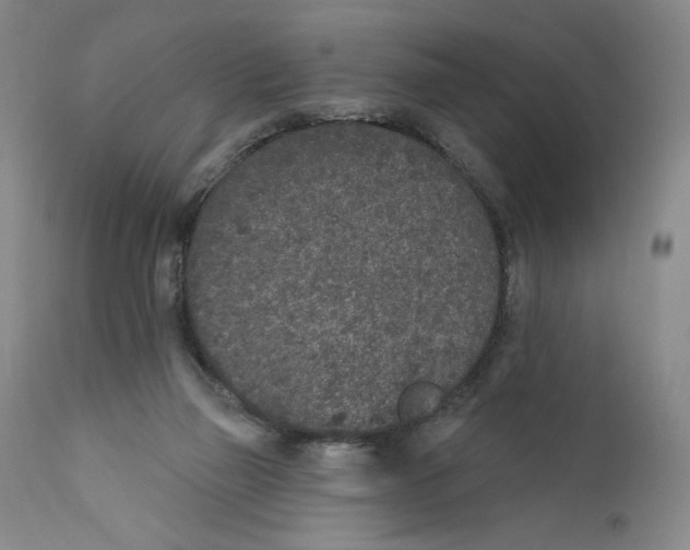 X0000110760165200907131218