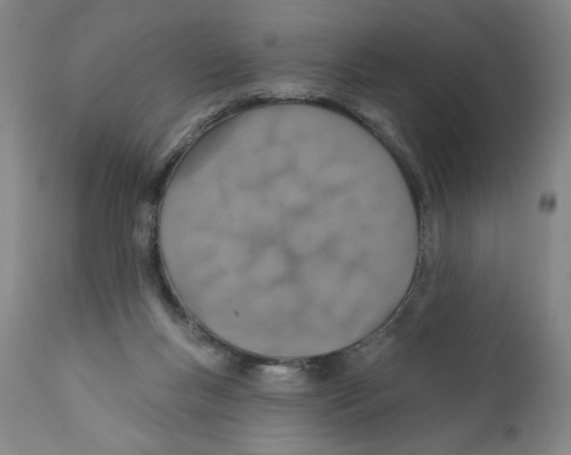 X0000110760167200907131218