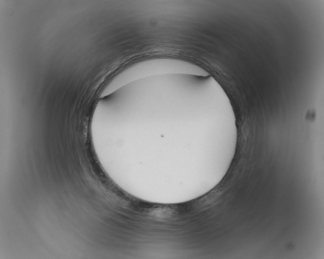 X0000110760168200907131218