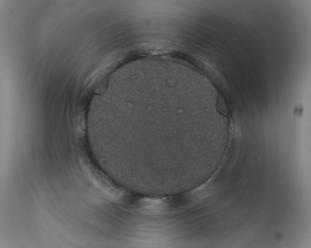 X0000110760170200907131218