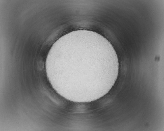 X0000110760173200907131218
